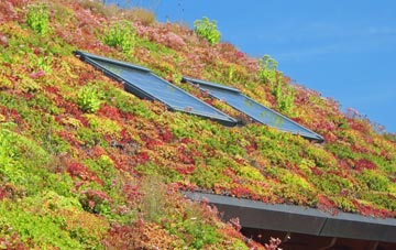 West Bilney living roof systems