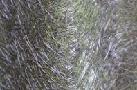 West Bilney fibreglass roof work